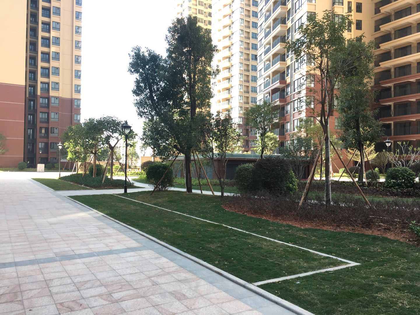 1627194191386621.png WeChat3d822f3fe7041c01603aada836ebd59e.png